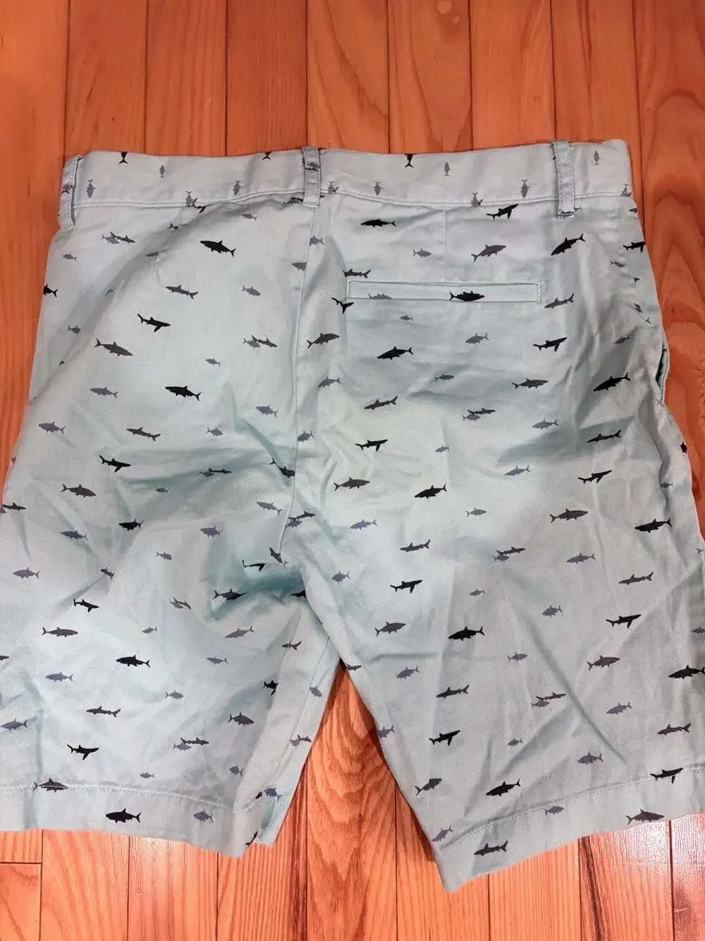 crewcuts by J.Crew Boys Light Blue Shark Print Chino Shorts